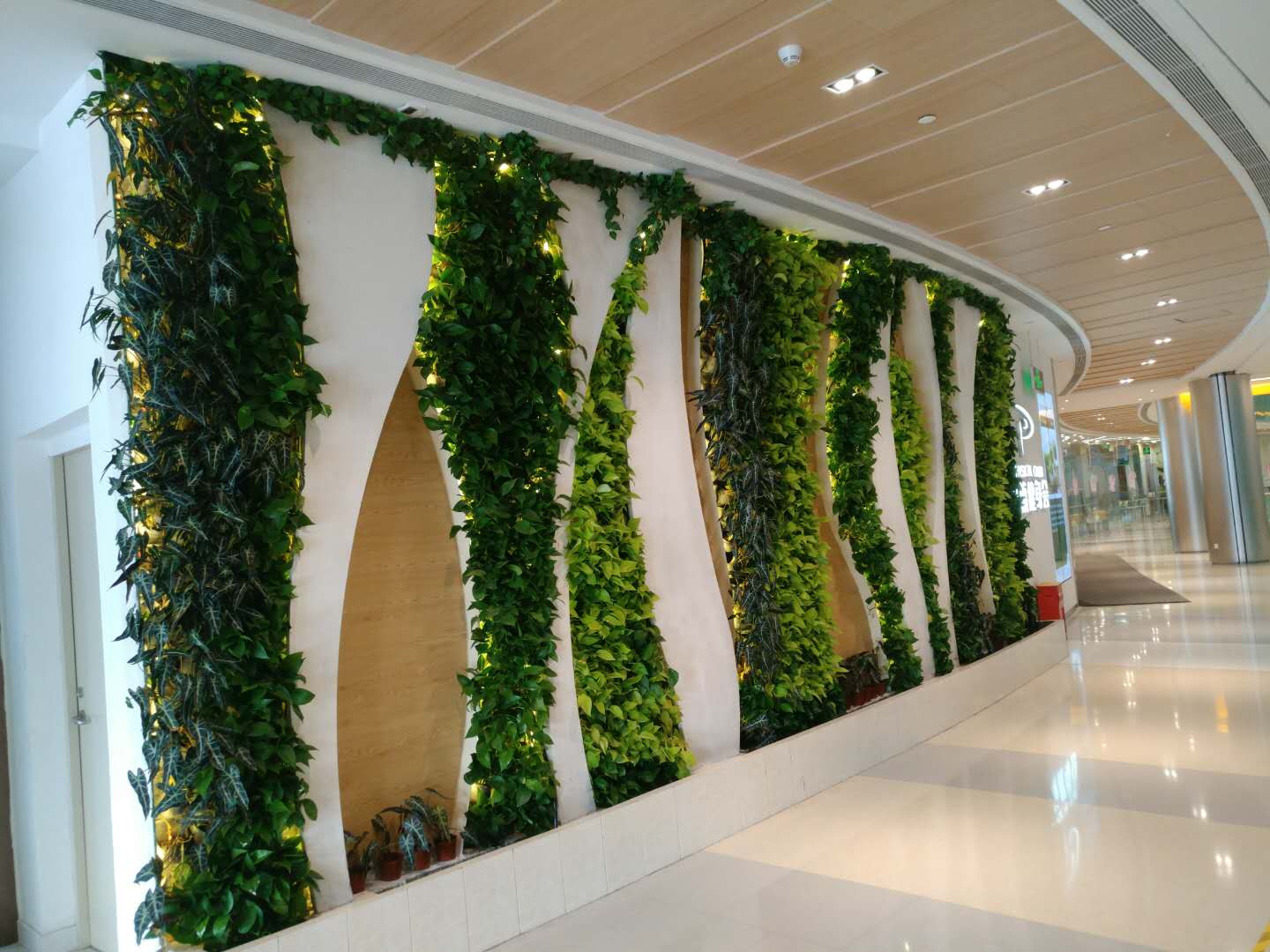 硅业分会:市场情绪积极,单晶硅片价格持续上涨