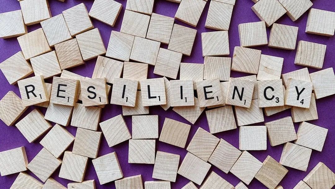 事关平台收费、校园餐监管等热点问题,市场监管总局作出回应