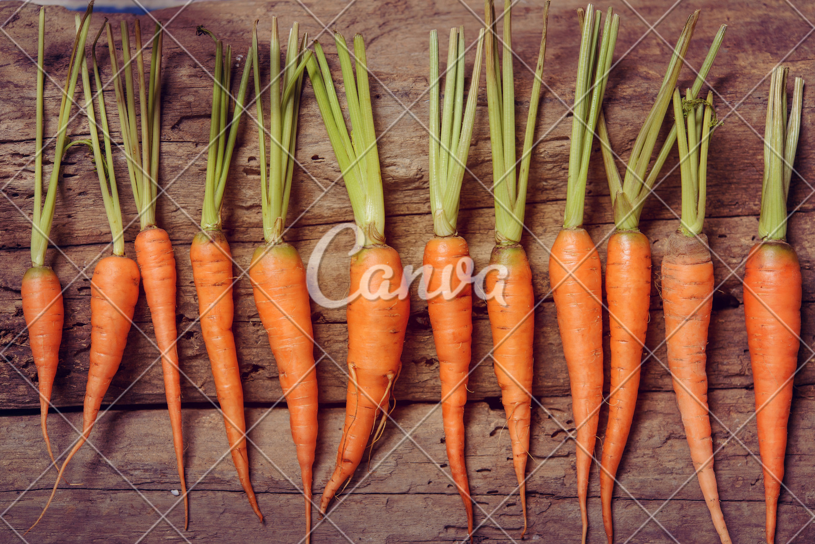 CINNO Research：1H’25中国乘用车中控CID搭载量同比增长12%