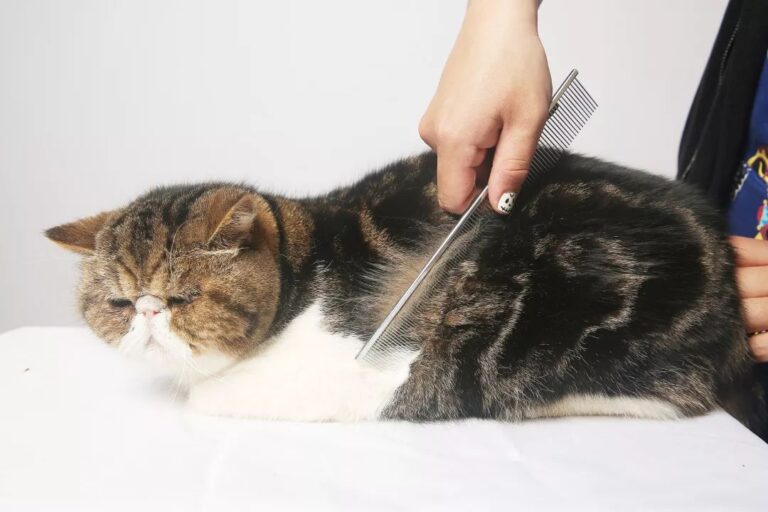 辽宁:出台专项行动方案 组织企业公开承诺