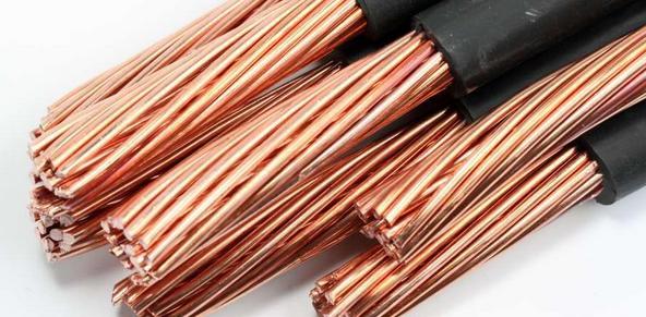 江苏调度推进校园食品安全排查整治专项行动