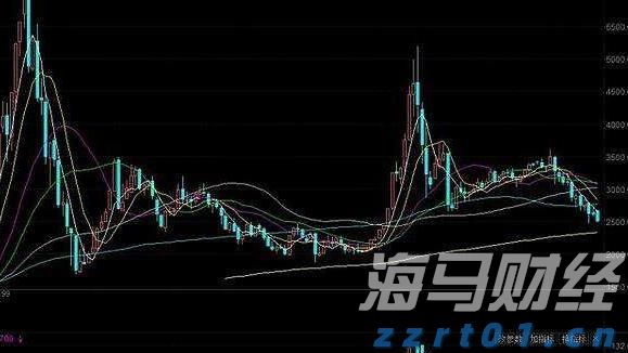 上半年全国新设经营主体超1300万户