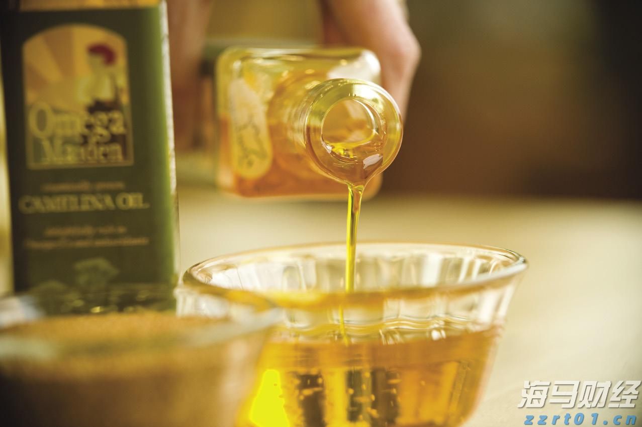 上海市市场监管局执法总队开展进博会重点单位特种设备安全专项执法检查