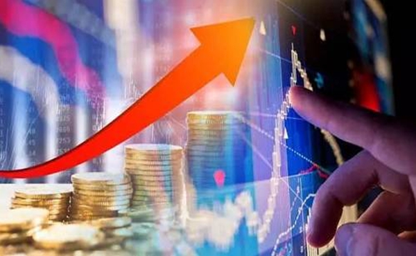 深耕创作沃土 讲好徐闻故事