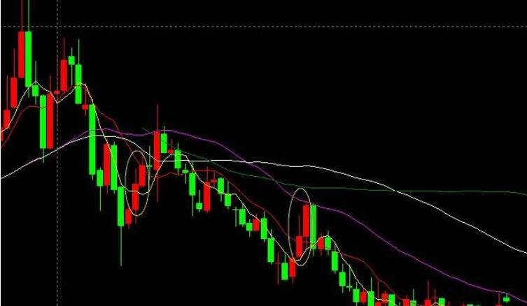 安徽印发食品生产监督检查操作手册