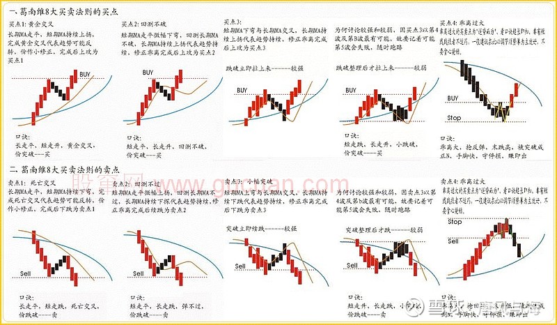 日均新设企业2174户！上海市场主体突破318万