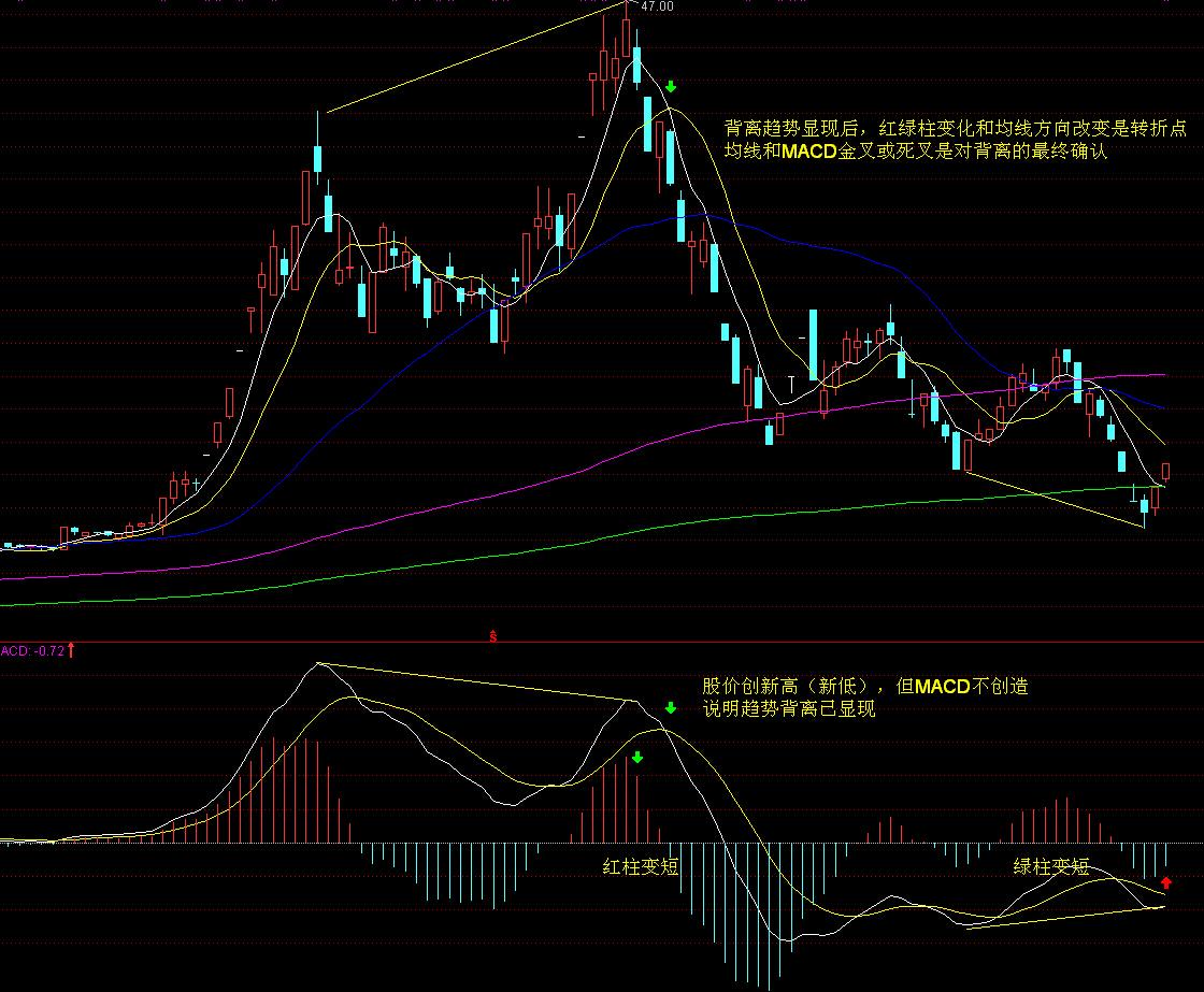 高一学子寄情加油视频，助力高三考生逐梦高考