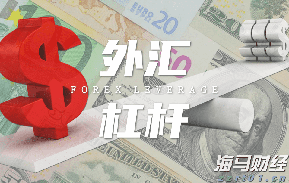 独立候选人纳夫罗茨基赢得波兰总统选举