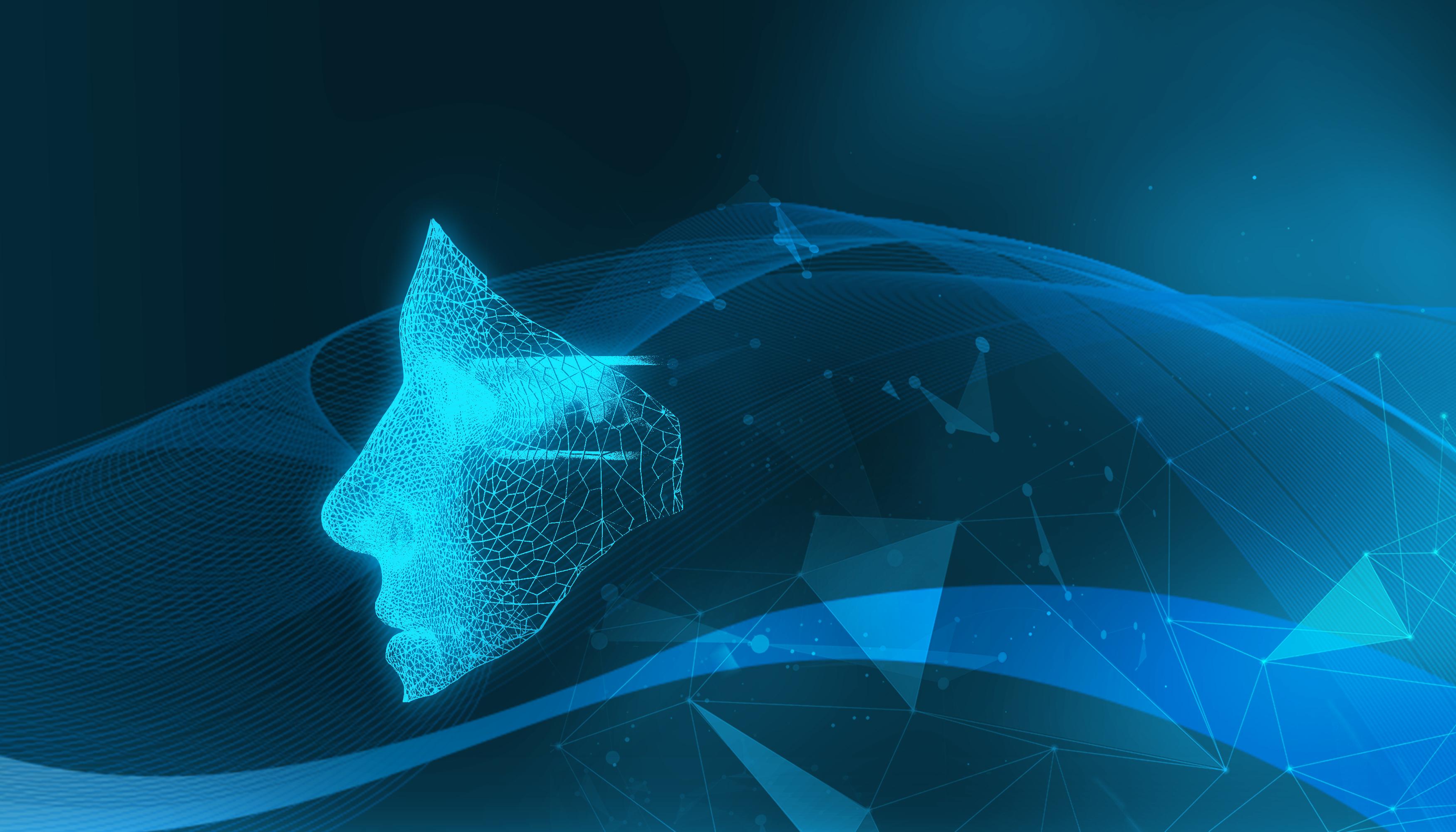 普京:将回应中国对俄试行免签