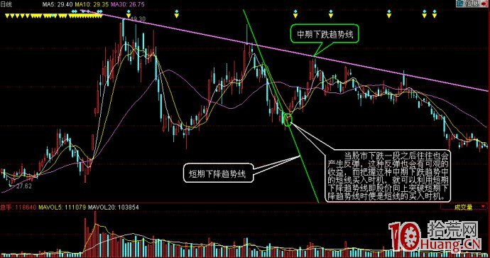 中华白海豚没有手脚，为什么“喜洋洋”“乐融融”有？