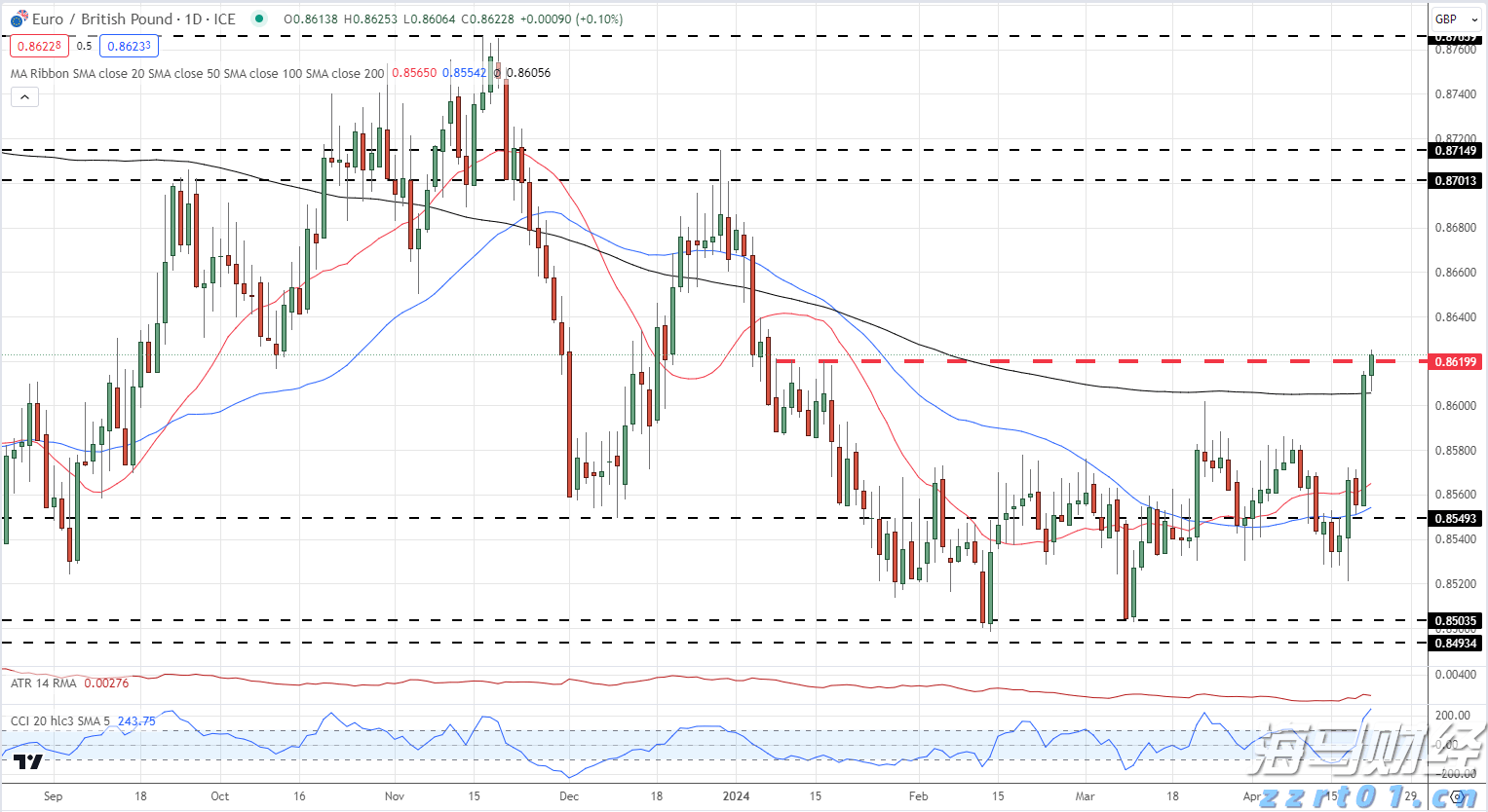 武乐镇第九届荔枝嘉年华开幕