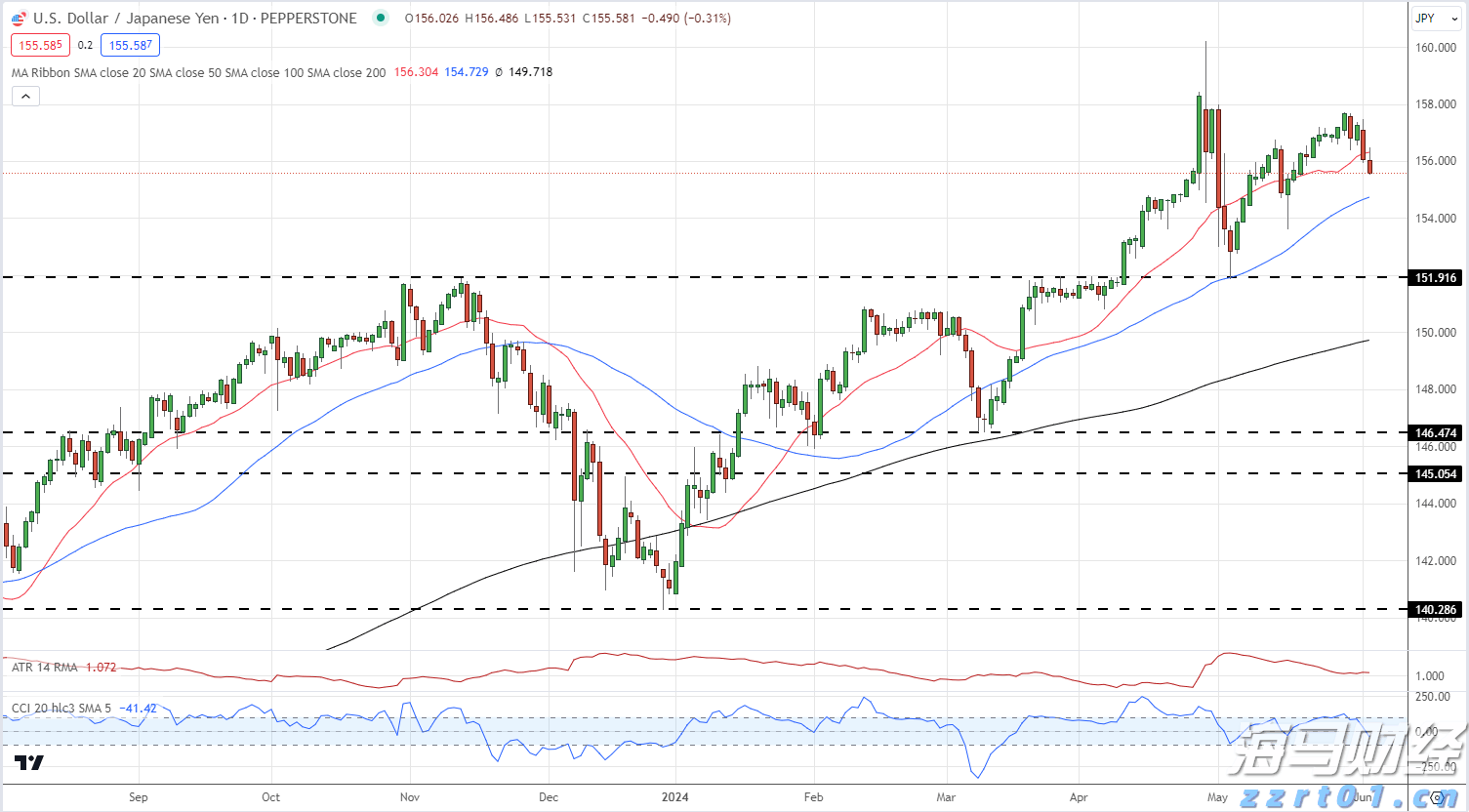深耕创作沃土 讲好徐闻故事