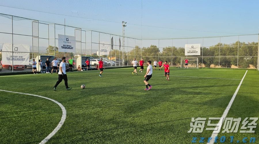 野村Q2投资布局聚焦AI及高波动性股票，重仓特斯拉期权