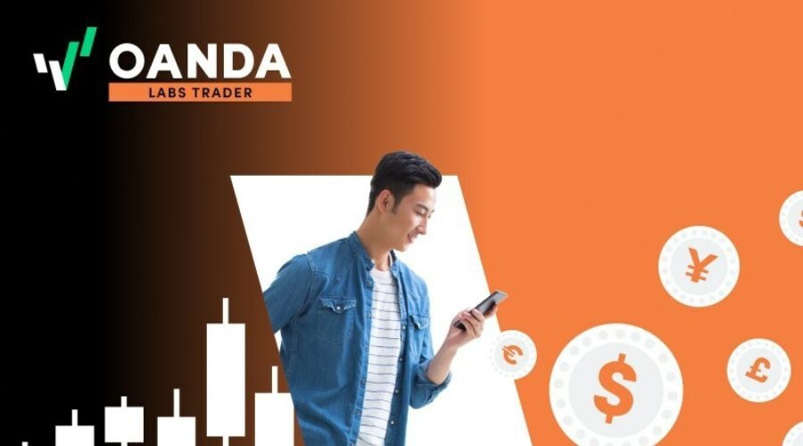 全国累计收购夏粮超5000万吨