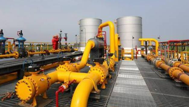 绿色食品，提振消费！广东新会陈皮 、客家盐焗鸡助企业增效农民增收